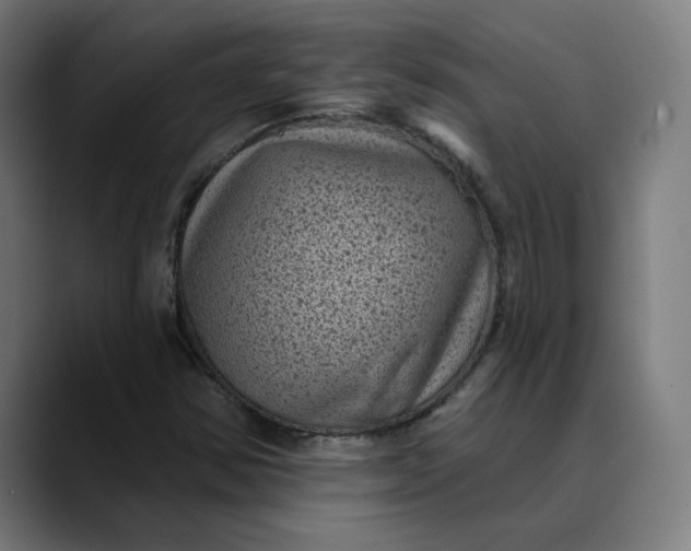 X0000089701354200707121346