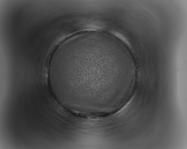 X0000089701355200707121346