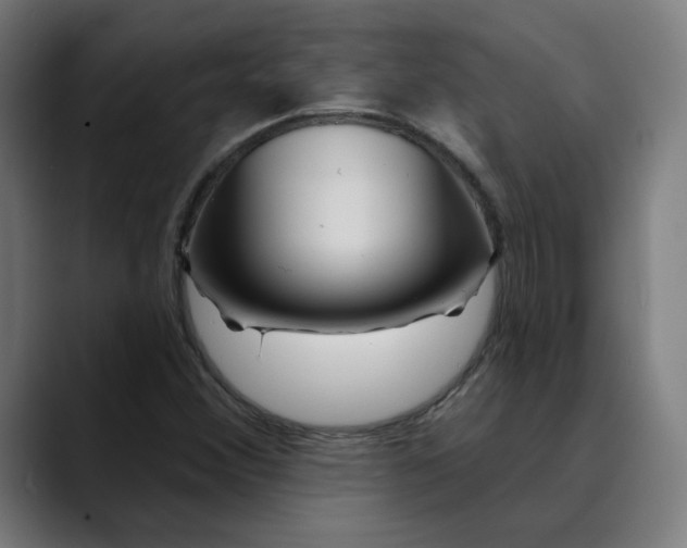 X0000089701356200707121346