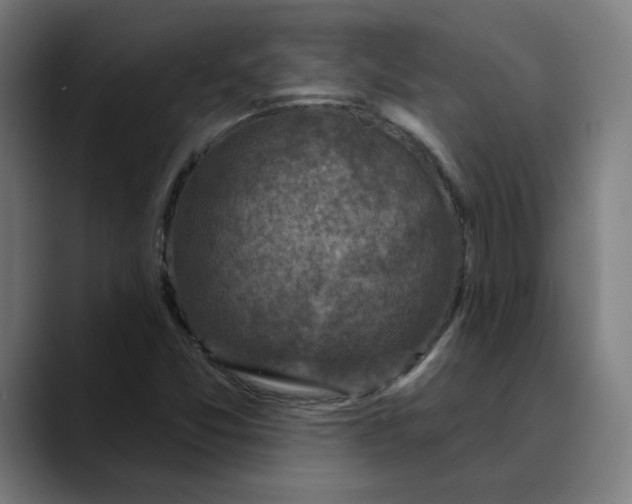 X0000089701357200707121346