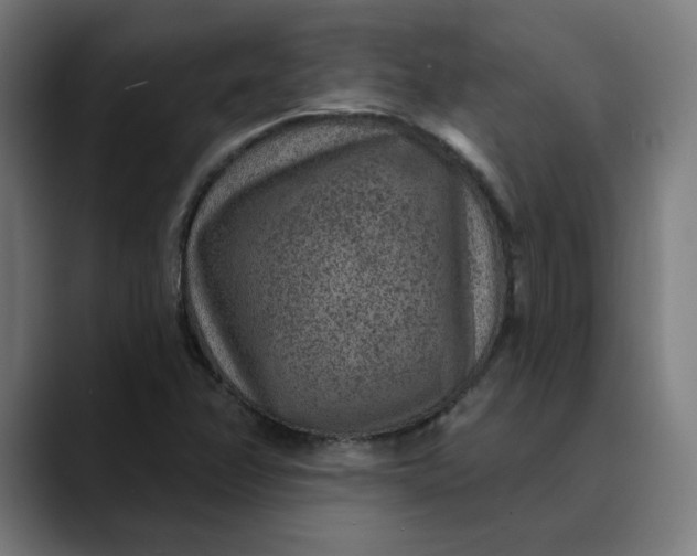 X0000089701358200707121346