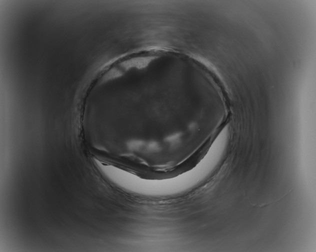 X0000089701359200707121346