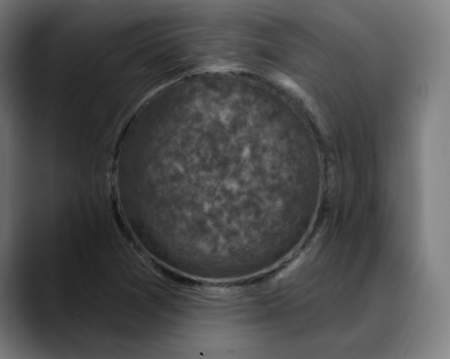 X0000089701361200707121346