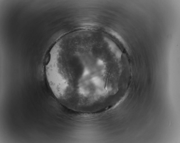 X0000089701362200707121346