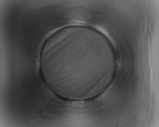 X0000089701363200707121346