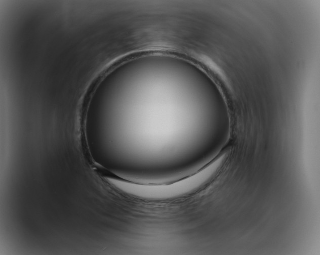 X0000089701364200707121346