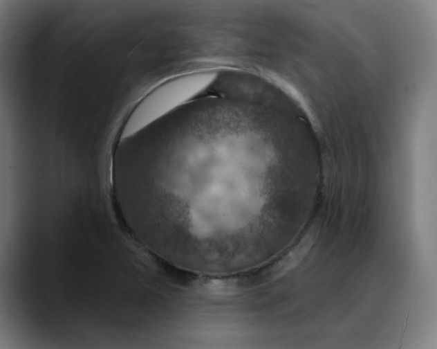 X0000089701365200707121346