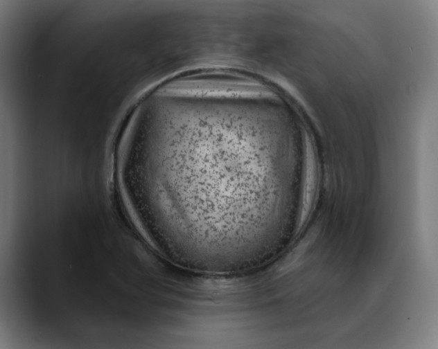 X0000089701366200707121346