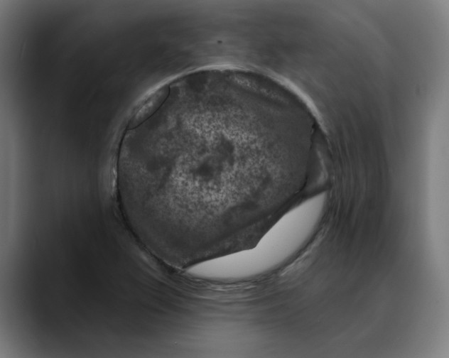 X0000089701367200707121346