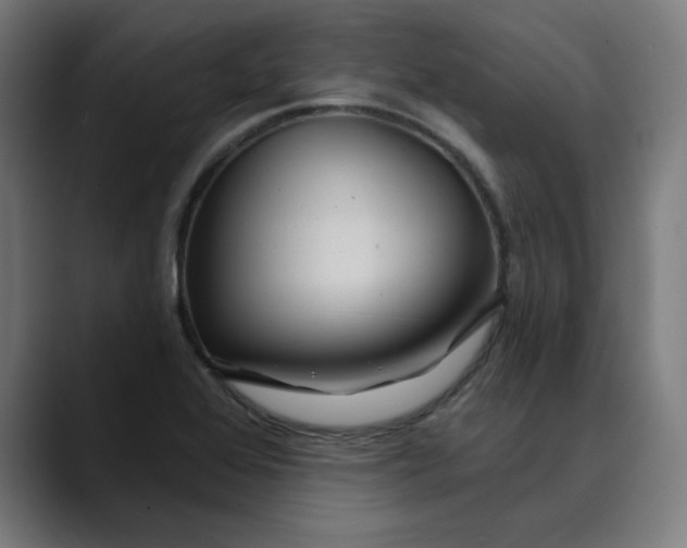 X0000089701368200707121346