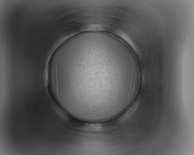 X0000089701370200707121346