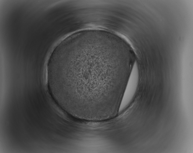 X0000089701371200707121346