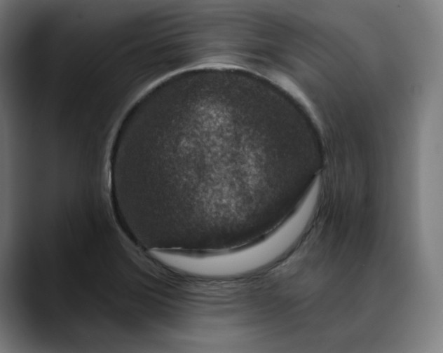 X0000089701372200707121346