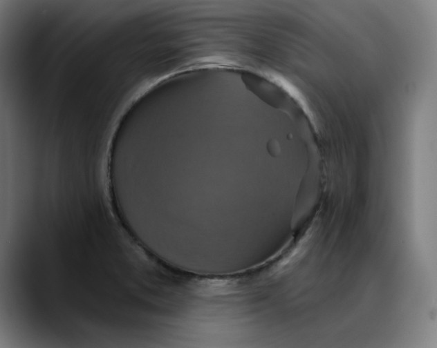 X0000089701373200707121346