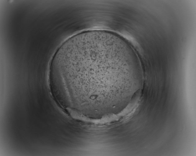 X0000089701374200707121346