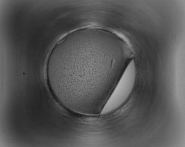 X0000089701375200707121346