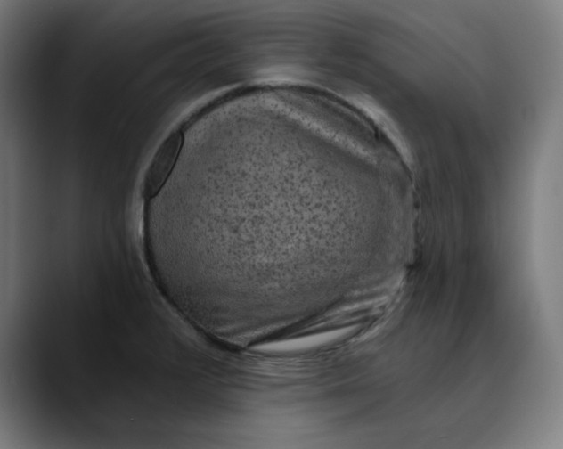 X0000089701376200707121346