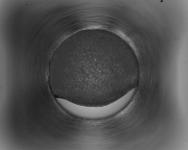 X0000089701377200707121346