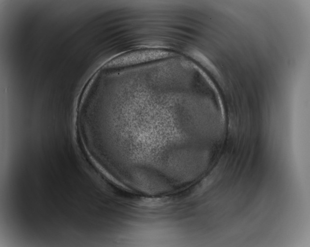 X0000089701378200707121346