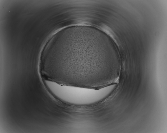 X0000089701379200707121346