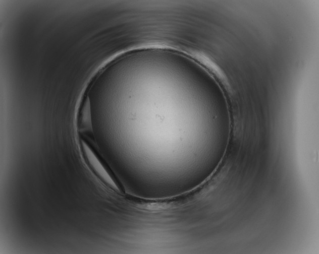 X0000089701380200707121346