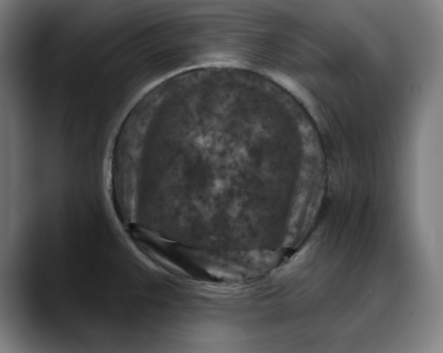 X0000089701383200707121346