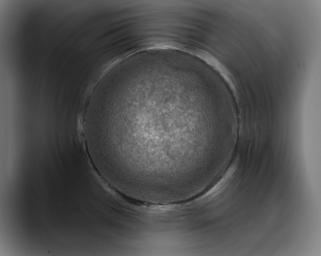 X0000089701385200707121346