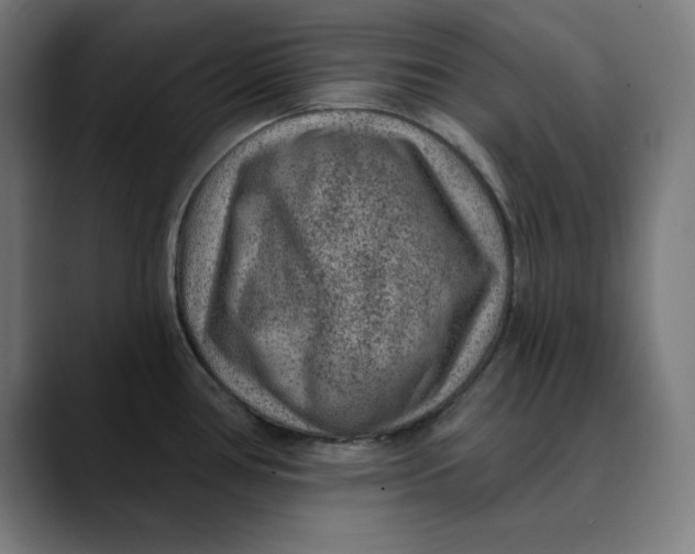 X0000089701386200707121346