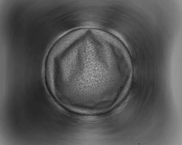 X0000089701387200707121346