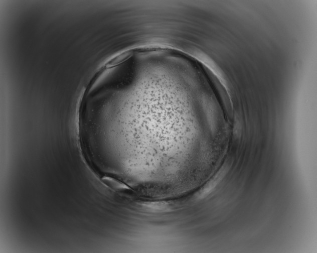 X0000089701388200707121346