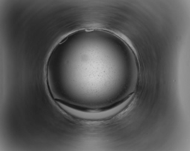 X0000089701389200707121346