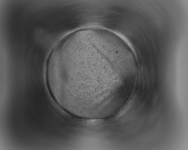 X0000089701390200707121346