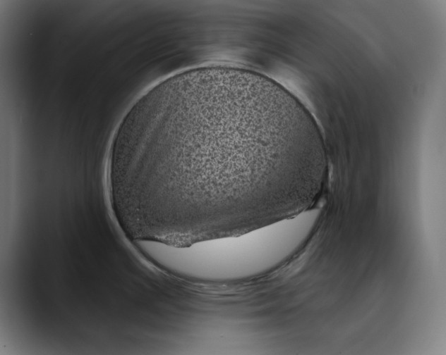 X0000089701391200707121346