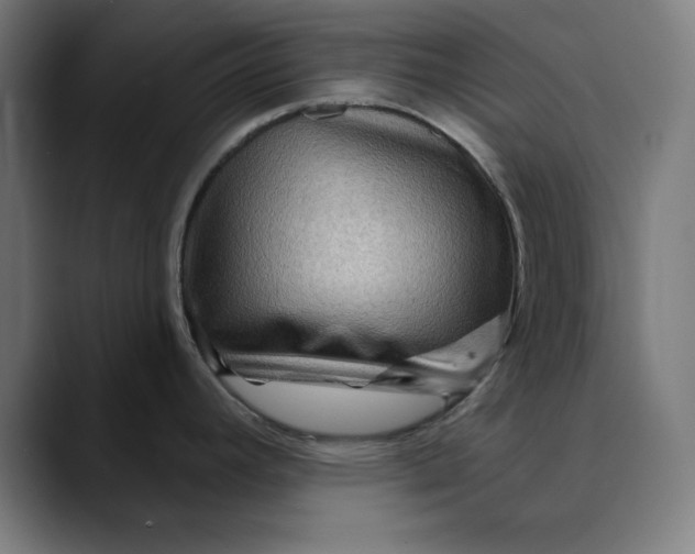 X0000089701392200707121346