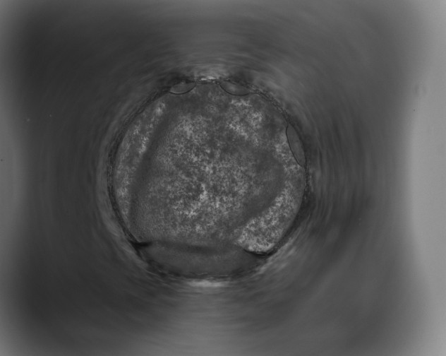 X0000089701393200707121345