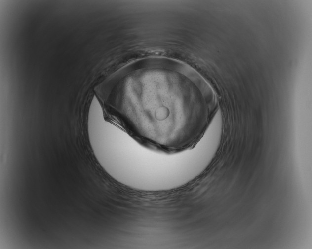 X0000089701394200707121345