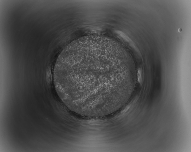 X0000089701395200707121345