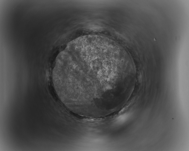 X0000089701397200707121345