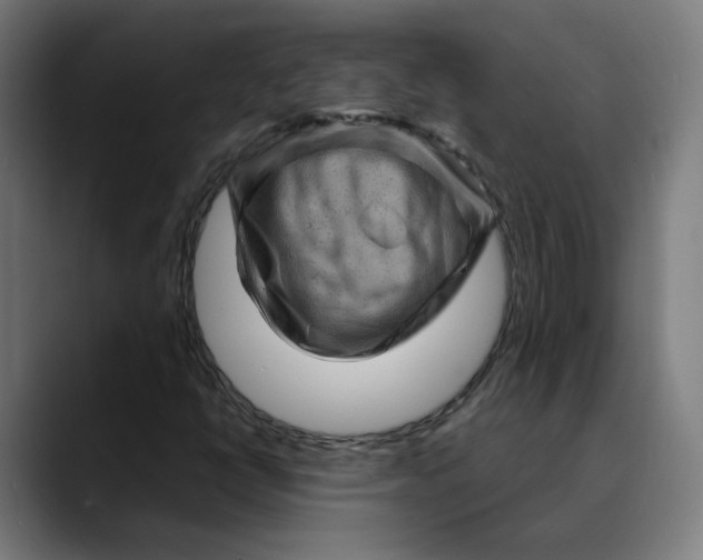 X0000089701398200707121345