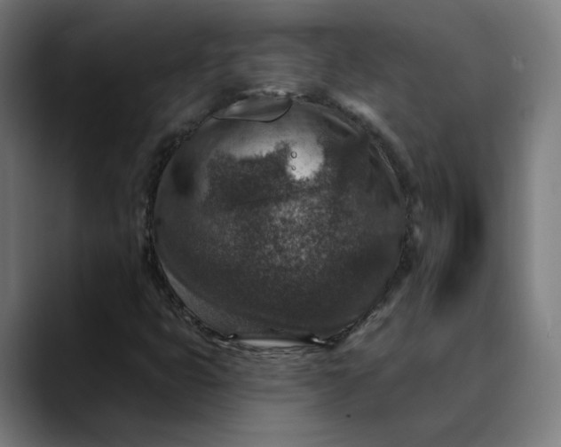 X0000089701399200707121346