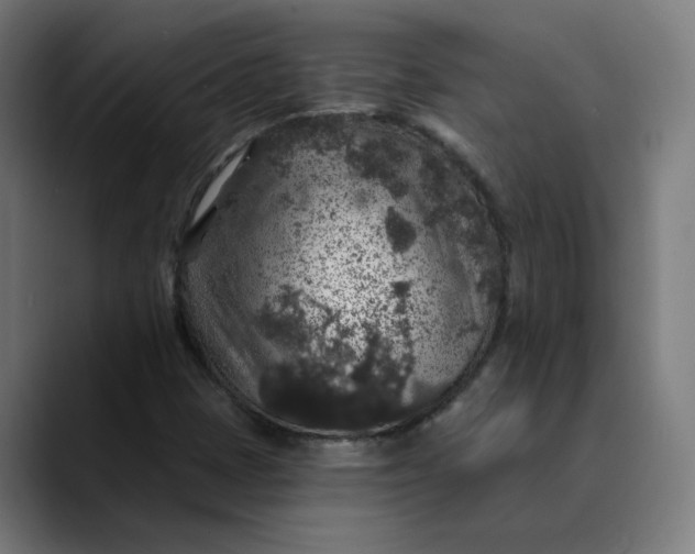 X0000089701401200707121346