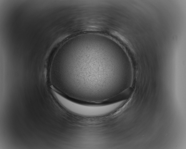 X0000089701402200707121346