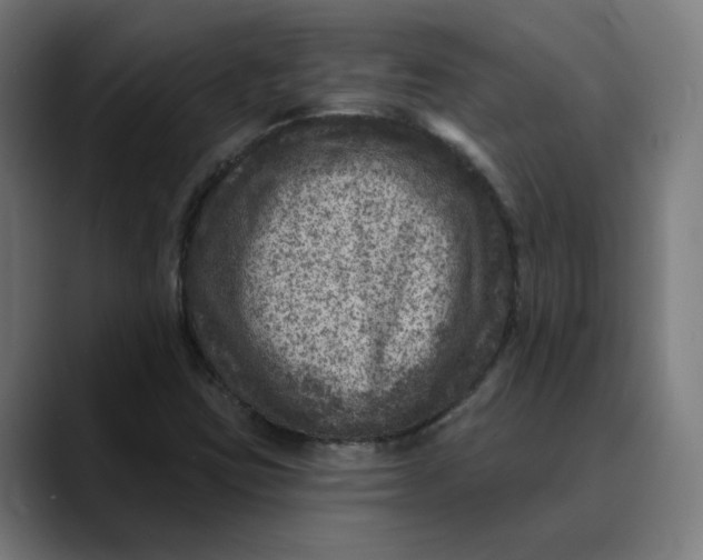 X0000089701403200707121346