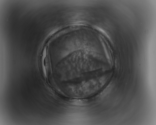 X0000089701405200707121346