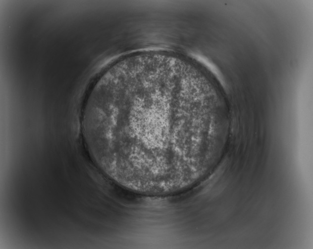 X0000089701407200707121346