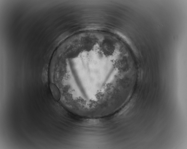 X0000089701409200707121346