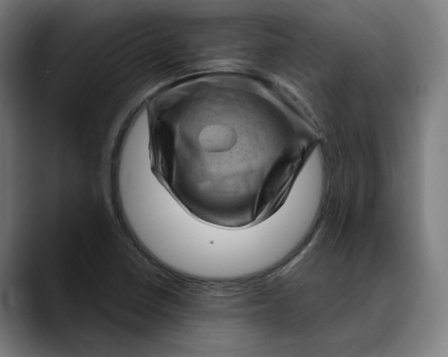 X0000089701410200707121346