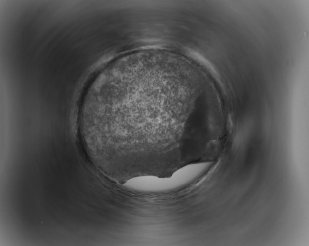 X0000089701411200707121346