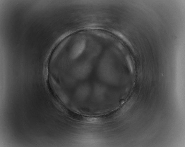 X0000089701413200707121346