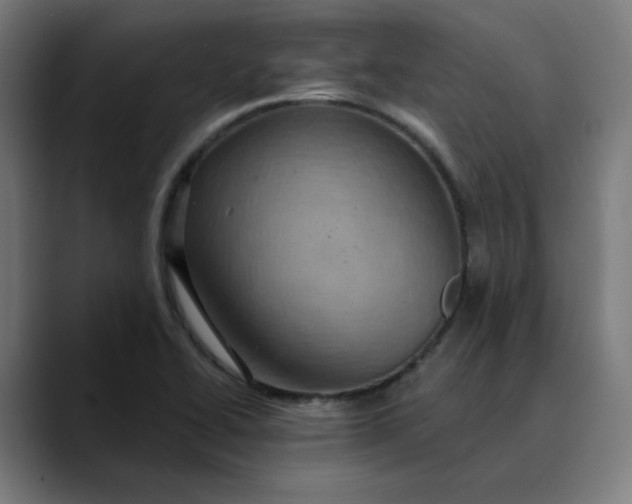 X0000089701414200707121346